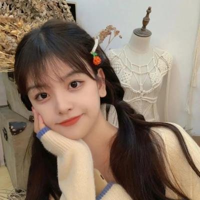 吾爱吾师2海报